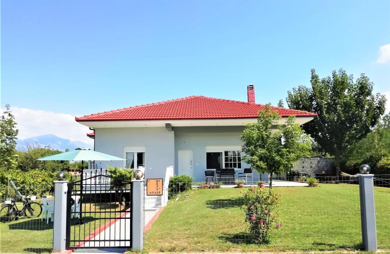 Deppy'S House Κοντά Στα Λουτρά Πόζαρ Apartment Chrysi Екстериор снимка