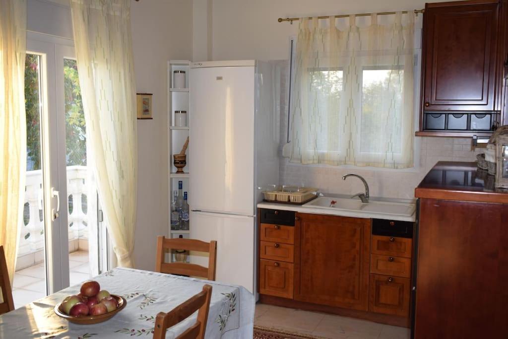 Deppy'S House Κοντά Στα Λουτρά Πόζαρ Apartment Chrysi Екстериор снимка