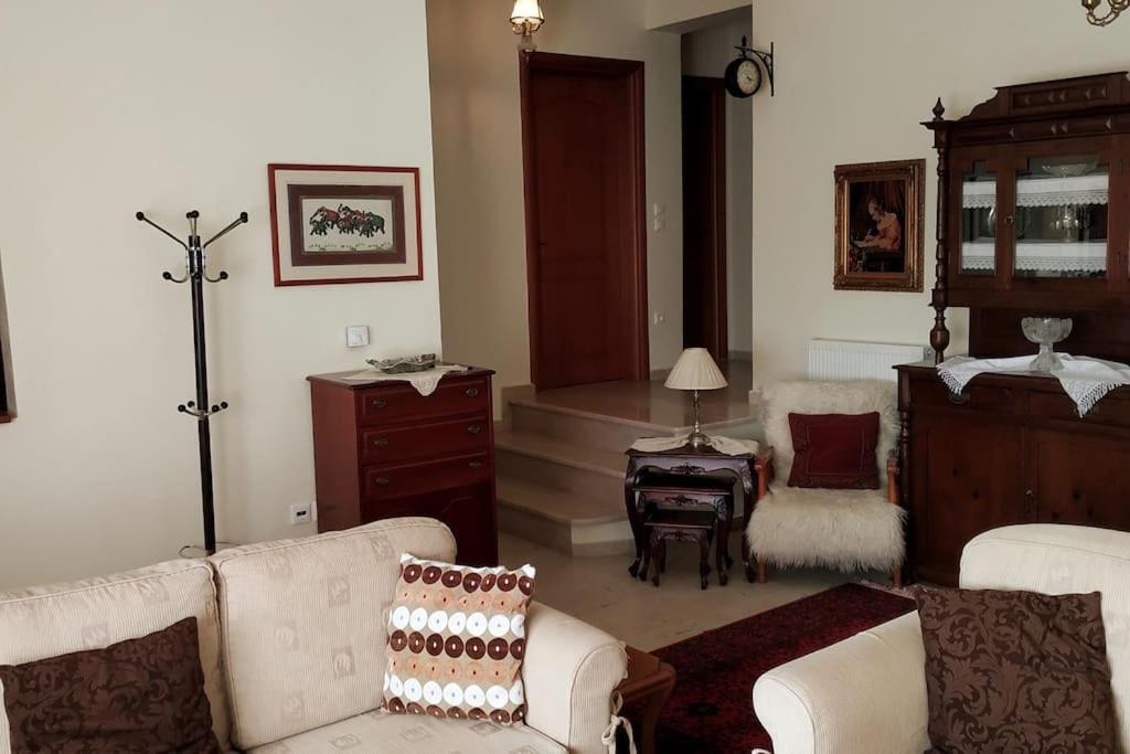 Deppy'S House Κοντά Στα Λουτρά Πόζαρ Apartment Chrysi Екстериор снимка