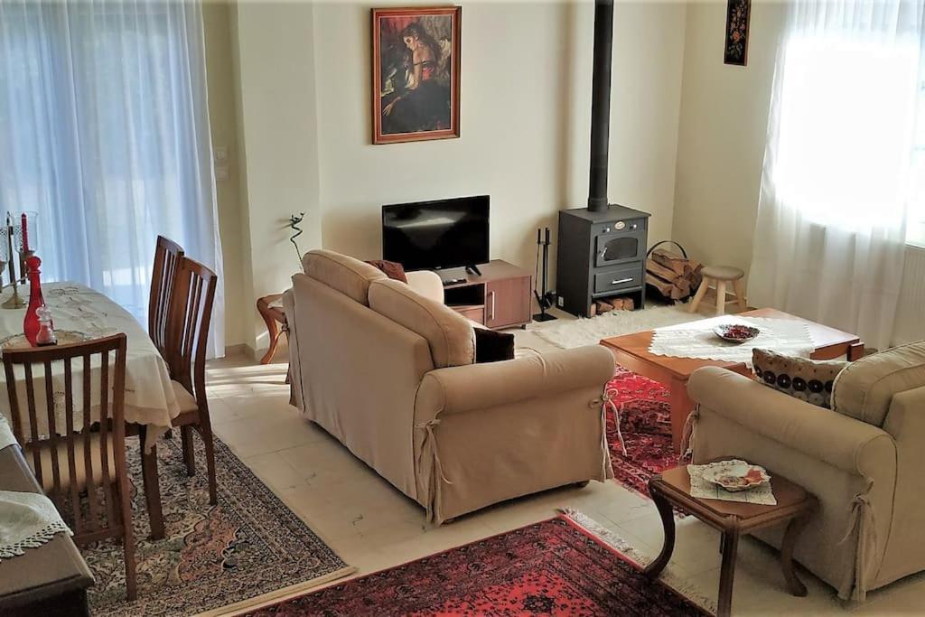 Deppy'S House Κοντά Στα Λουτρά Πόζαρ Apartment Chrysi Екстериор снимка